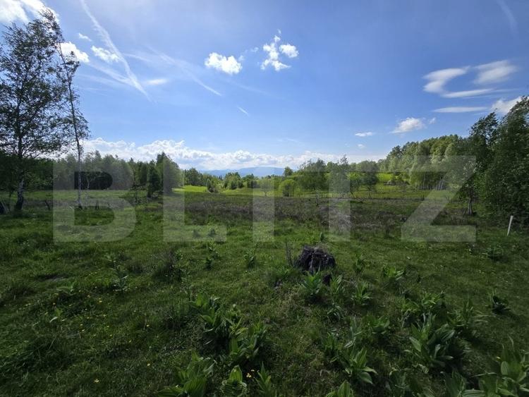 Teren agricol extravilan de 13103 mp, în Dealu Negru