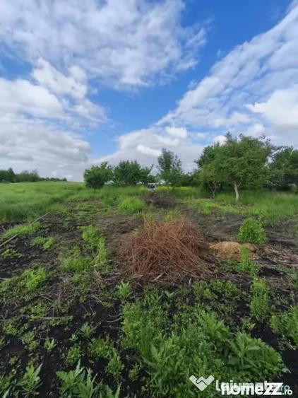 Casă cu 4 camere cu Teren 6000 Mp în Negostina