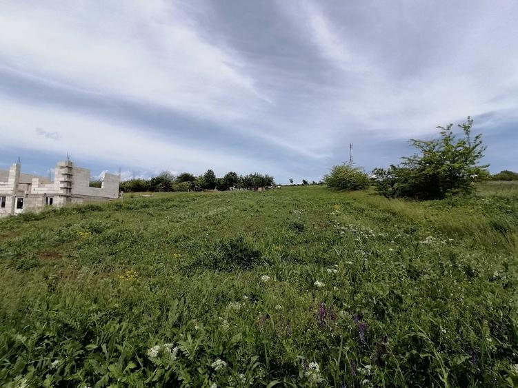 Teren de 3000 mp, în Chicerea
