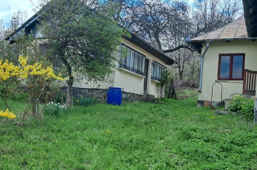 Casă individuală cu 5 camere cu Teren 2671 Mp în Plaiu (Provița de Sus)