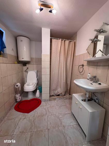 Casă cu 2 camere cu Teren 2380 Mp în Iacobeni