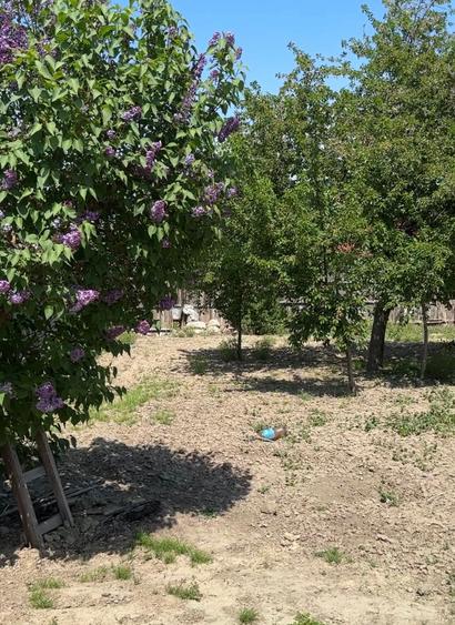 Teren agricol intravilan de 660 mp, în Sud