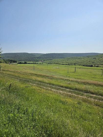 Teren de 7200 mp, în Crețești