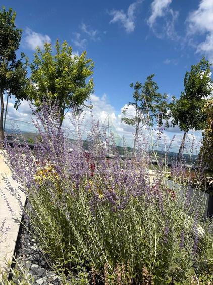 Apartament cu 3 camere decomandat în Zorilor