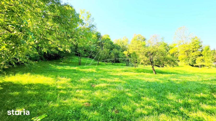 Teren de 2870 mp, în Provița de Sus
