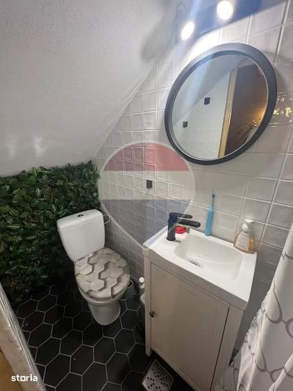 Casă cu 2 camere în Lunca Vișagului