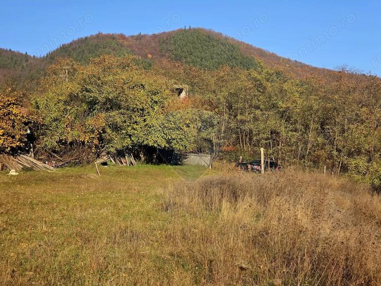Teren de 6874 mp, în Alexandru cel Bun