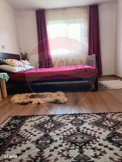 Casă cu 4 camere cu Teren 16499 Mp în Baia de Fier