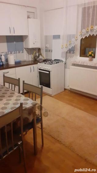 Apartament cu 2 camere decomandat în Craiovița Nouă