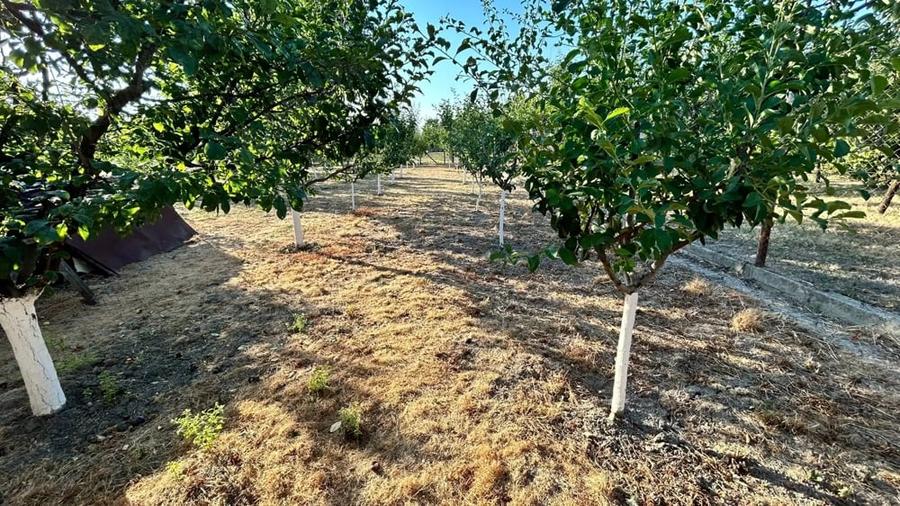 Casă cu 4 camere cu Teren 1450 Mp în Jebel