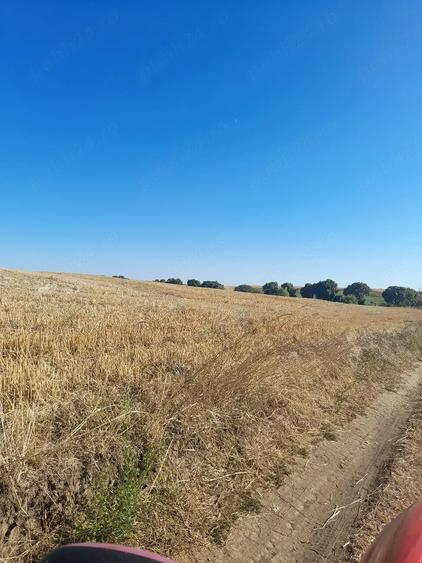 Teren de 1250 mp, în Cândeasca