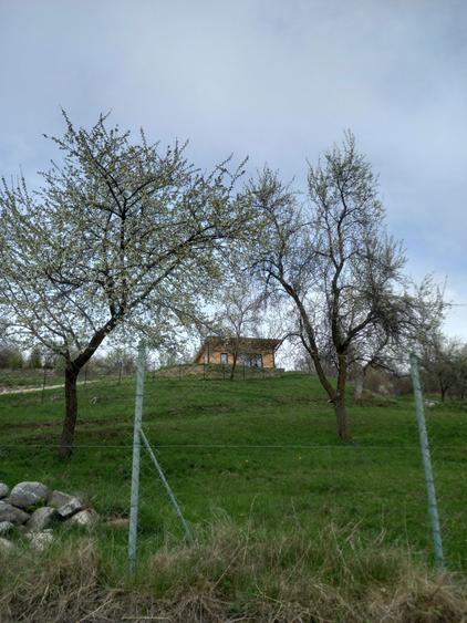 Teren de 3000 mp, în Căpățânenii Pământeni