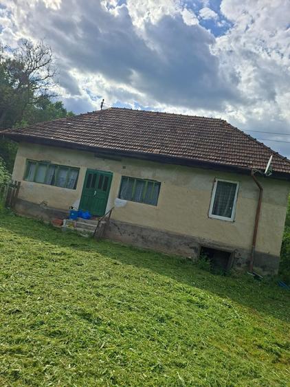 Casă cu 3 camere în Central