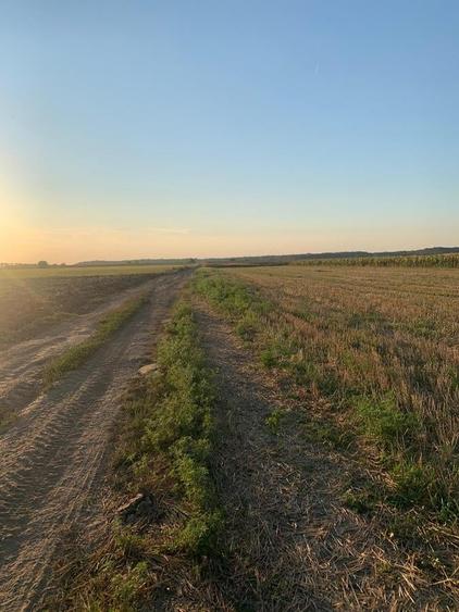 Teren Construcții intravilan de 8655 mp, în Dascălu