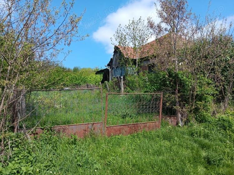 Teren de 3600 mp, în Miceștii de Câmpie