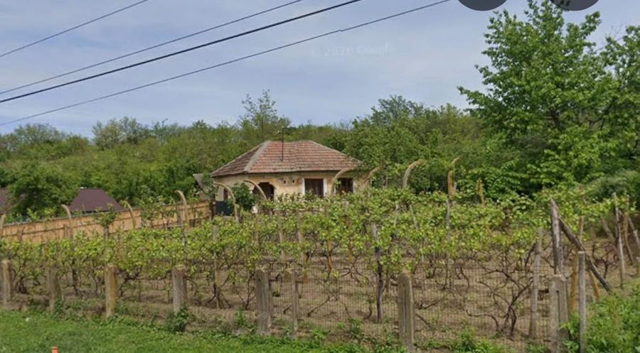 Casă individuală cu 2 camere cu Teren 800 Mp în Exterior Sud