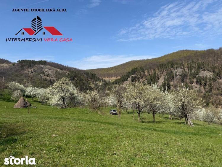 Teren de 13698 mp, în Vințu de Jos