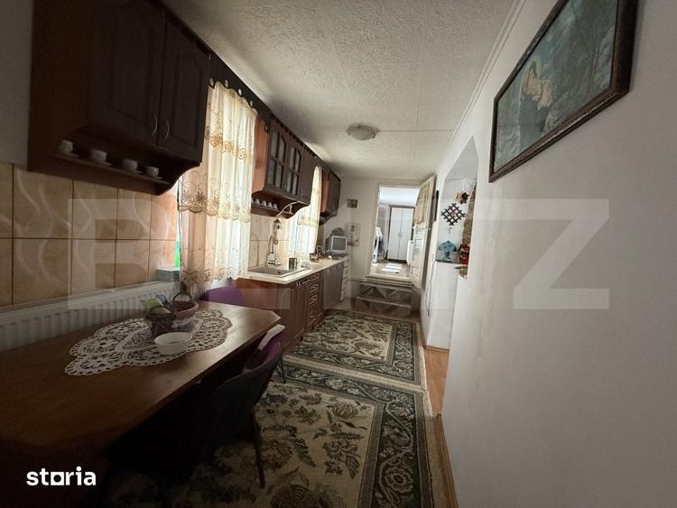 Casă cu 4 camere cu Teren 6325 Mp în Medieșu Aurit