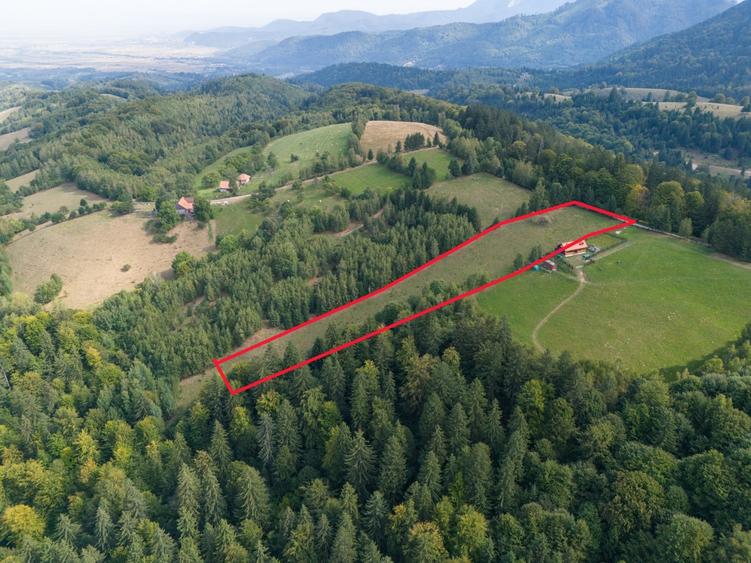 Teren Construcții extravilan de 10131 mp, în Bran