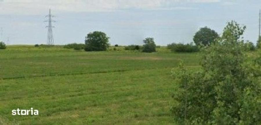 Teren de 1200 mp, în Pogoanele