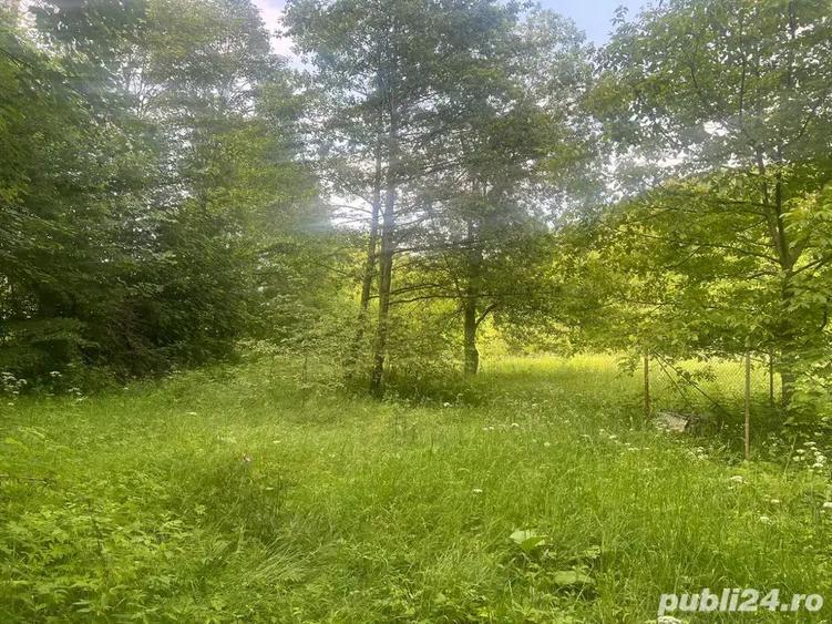 Teren de 1450 mp, în Dejani