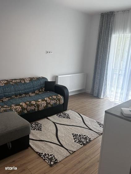 Apartament cu 2 camere în Viișoara