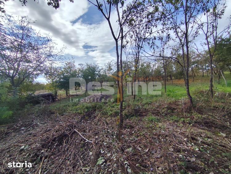 Teren de 750 mp, în Păulești