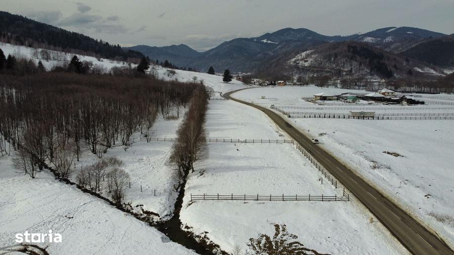 Teren de 2400 mp, în Plaiul Foii