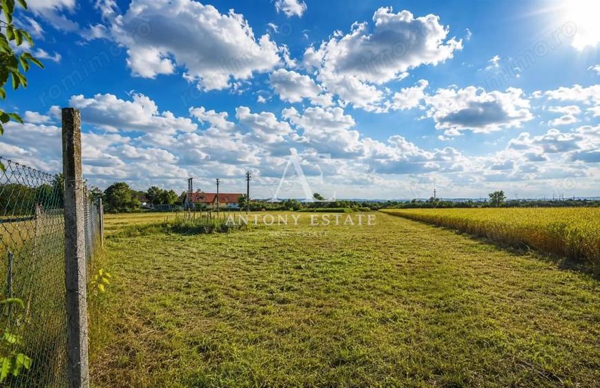 Casă cu Teren 2877 Mp în Tileagd