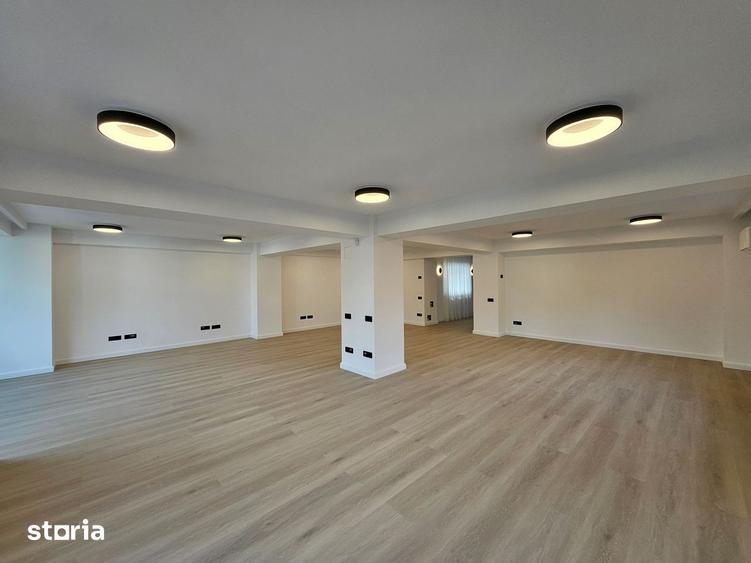 Spațiu comercial, de 160 mp, în Domenii