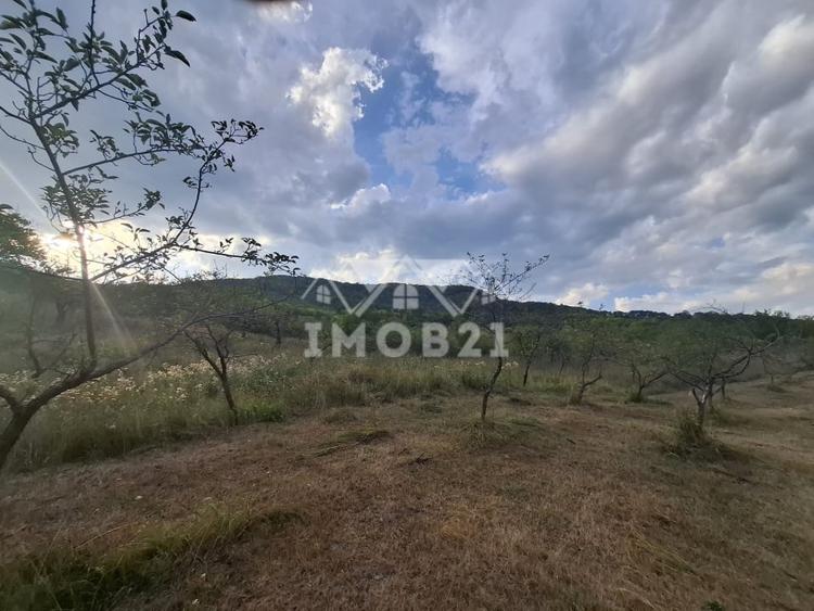 Teren agricol extravilan de 161899 mp, în Șoimari