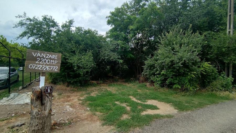 Teren de 2200 mp, în Olteni