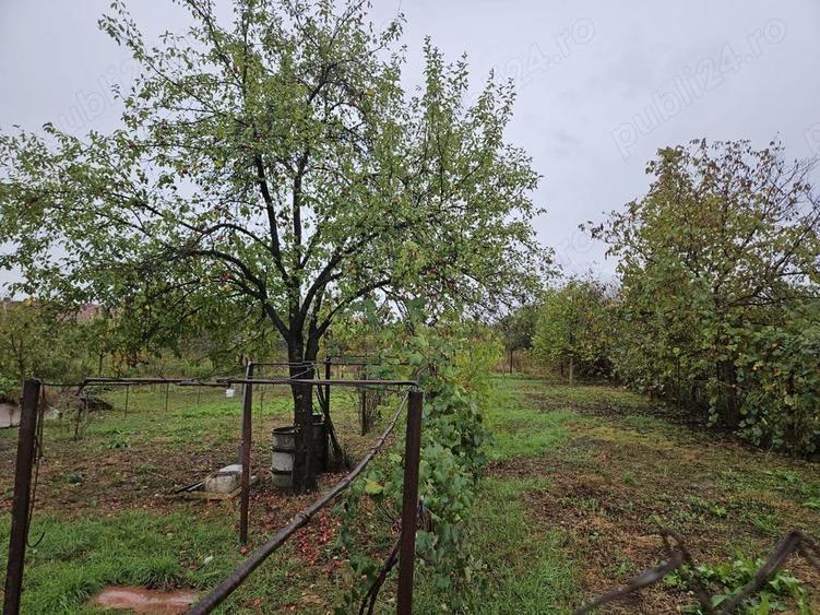 Casă cu 4 camere cu Teren 1105 Mp în Făget