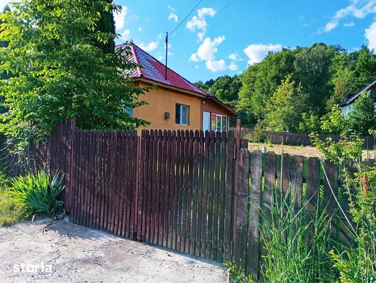 Casă cu 3 camere cu Teren 3000 Mp în Central