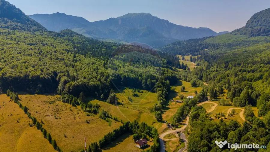 Teren de 20000 mp, în Dălghiu