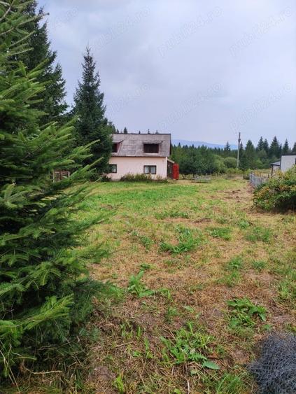 Teren de 800 mp, în Beliș