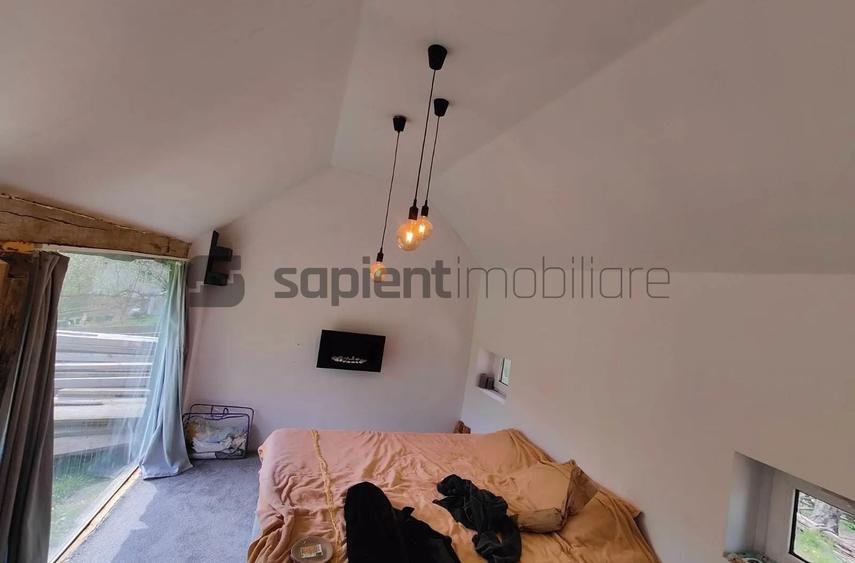 Teren Construcții intravilan de 10100 mp, în Munteni