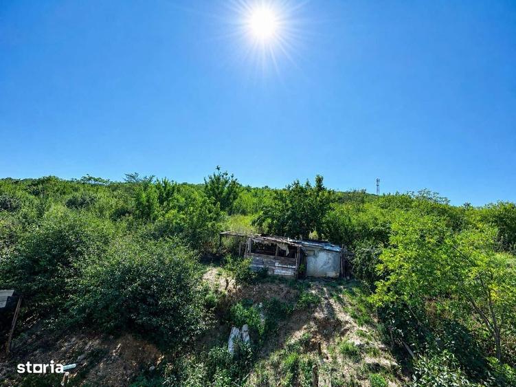 Vila d+p+m 184mp Spranceana Erbiceni Iasi living + 4 dormitoare - 12