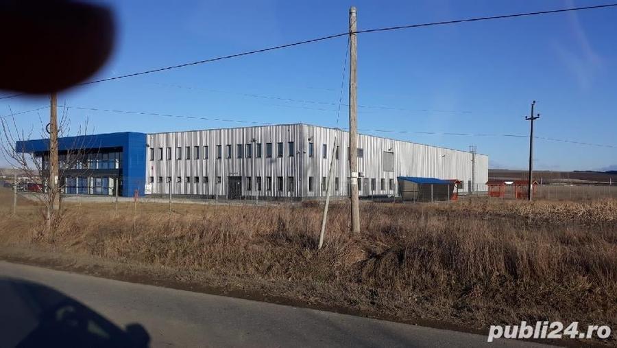Teren de 22500 mp, în Central