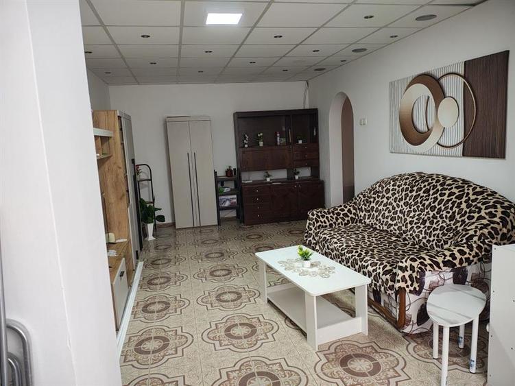 Apartament cu 2 camere decomandat, mobilat în Alexandru cel Bun