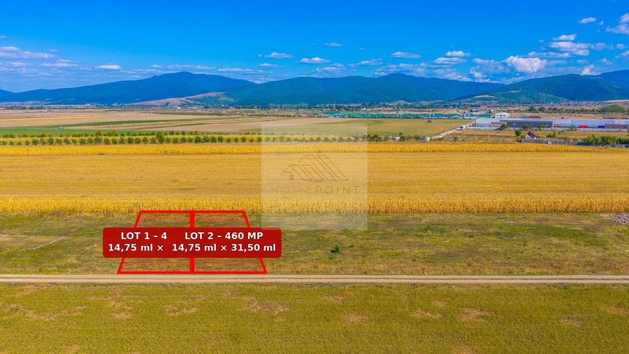 Teren Construcții intravilan de 460 mp, în Tărlungeni