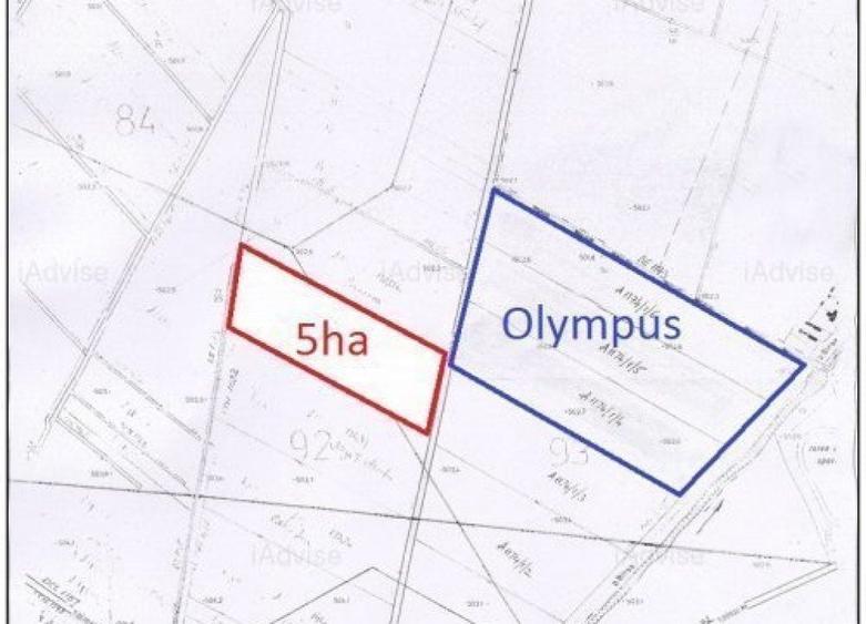 Teren Construcții extravilan de 50000 mp, în Hălchiu