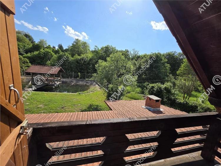 Cabana de vanzare pe Valea Avrigului - 11