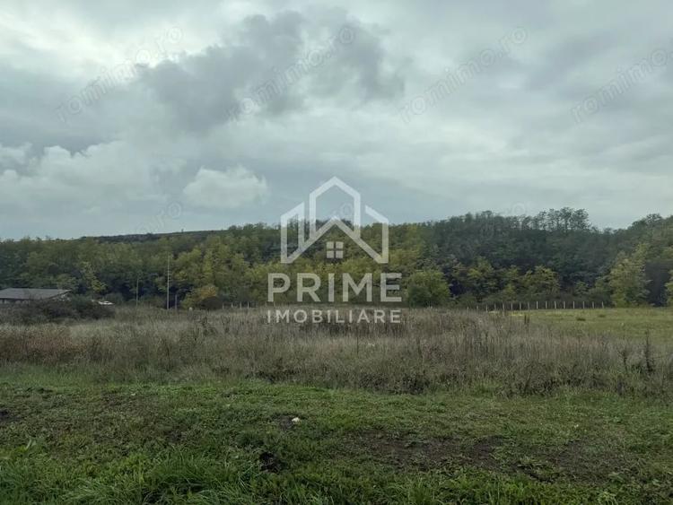 Teren intravilan 2100 mp | UTILITATI | Teleac | 3 fronturi | - 1
