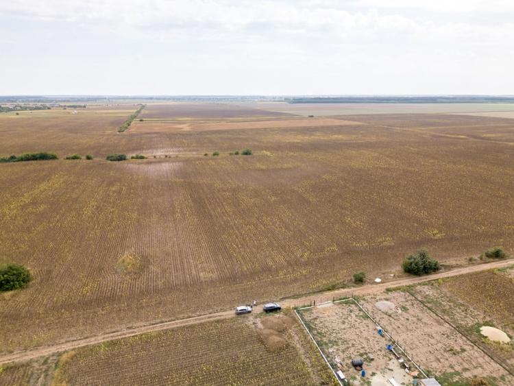Teren Construcții intravilan de 11332 mp, în Dascălu