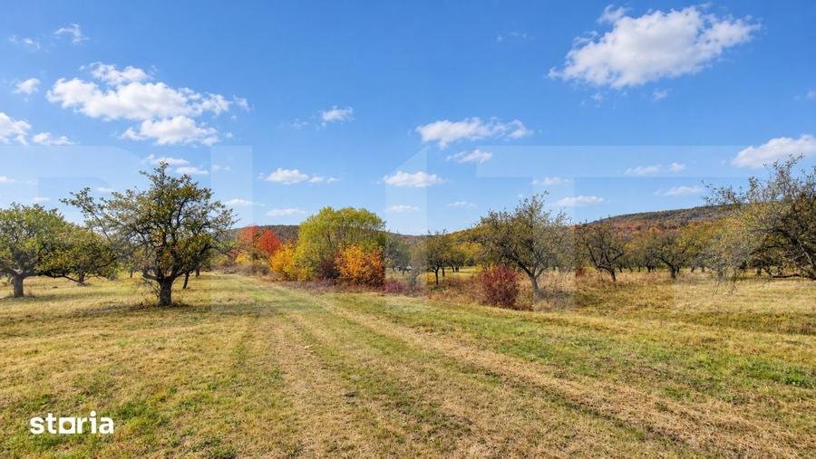 Teren de 1100 mp, în Bodoc