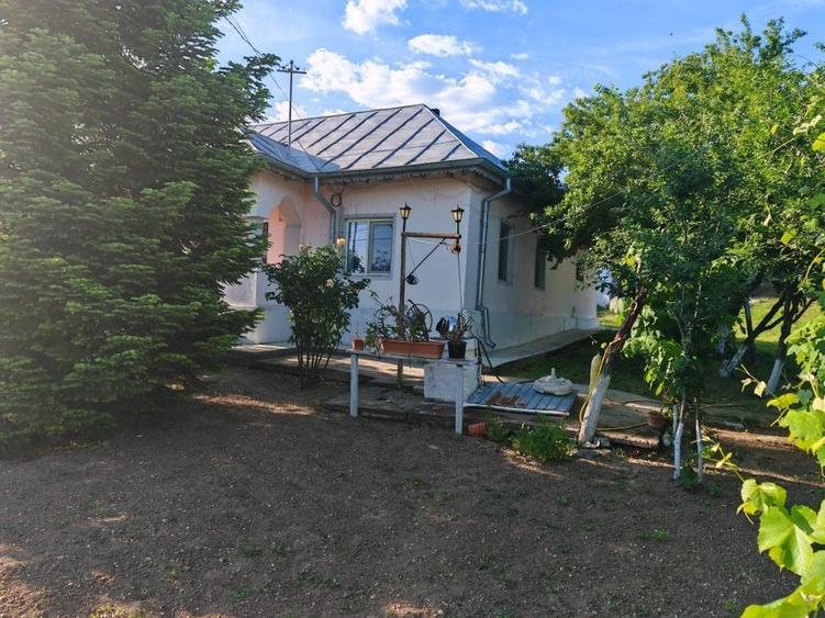 Casă individuală cu 3 camere cu Teren 300 Mp în Bucșani