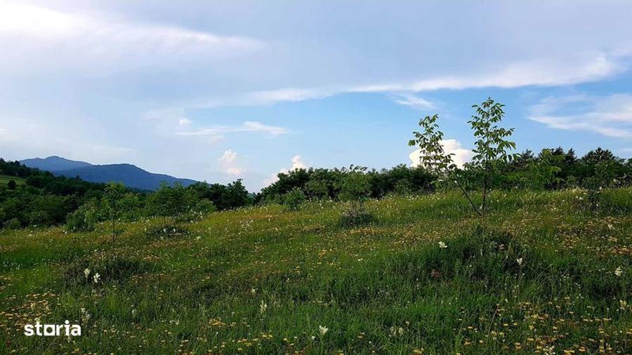 Teren de 13000 mp, în Asău