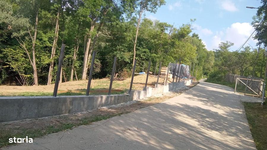 Teren de 1194 mp, în Provița de Jos