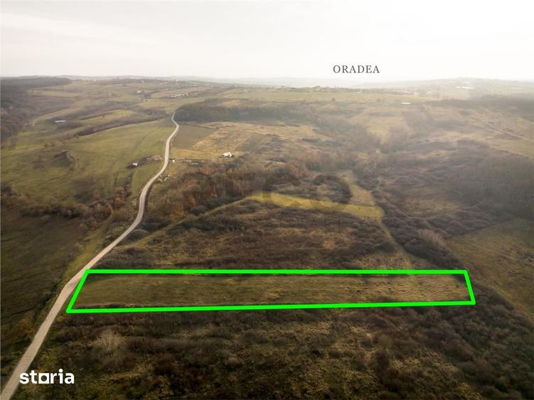 Teren de 6895 mp, în Paleu